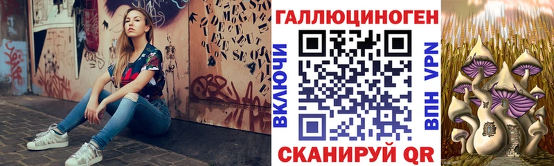 Купить  Саратов  Псилоцибиновые грибы Psilocybine cubensis 